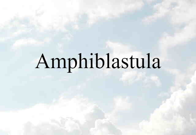 amphiblastula