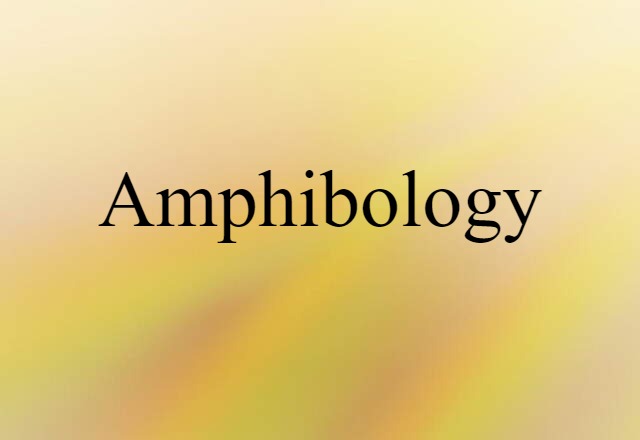 amphibology