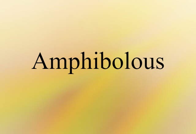 Amphibolous (noun) Definition, Meaning & Examples