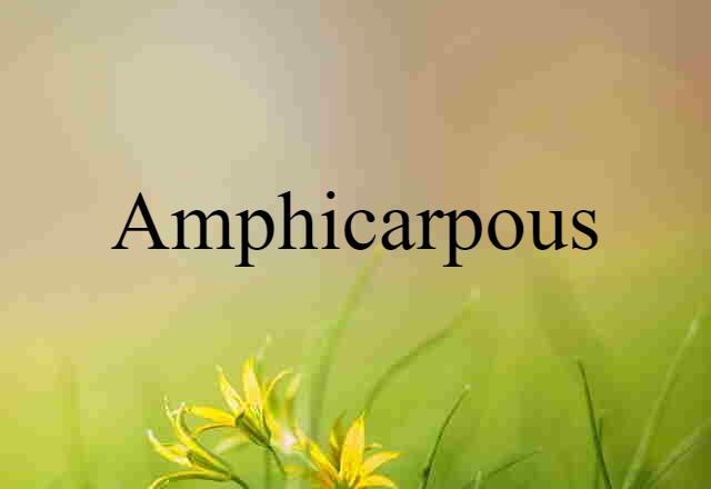 amphicarpous