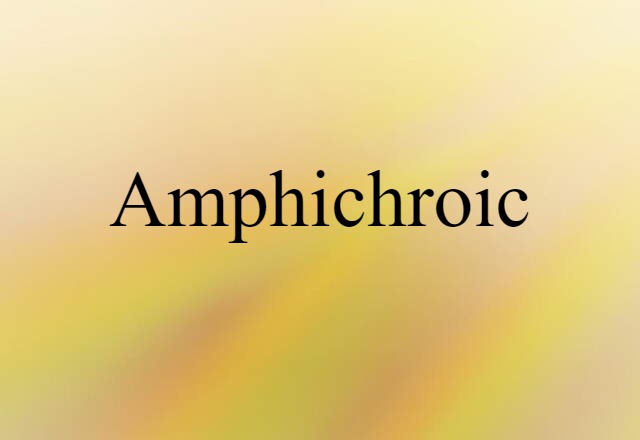 Amphichroic (noun) Definition, Meaning & Examples