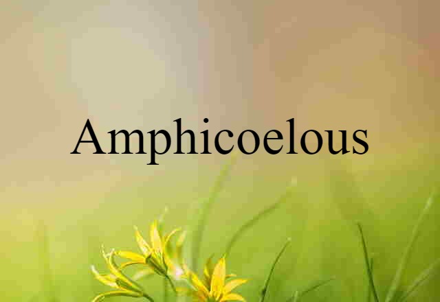 amphicoelous