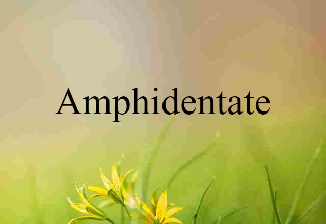 amphidentate