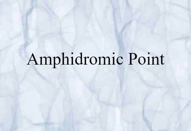 amphidromic point