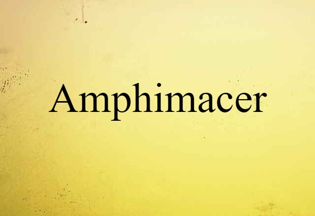 amphimacer