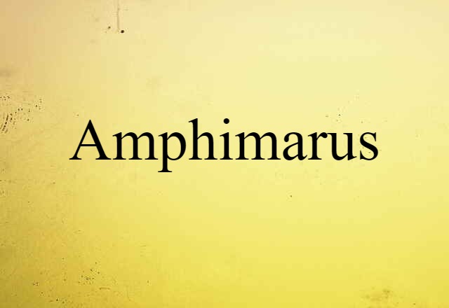 Amphimarus