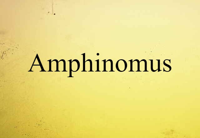 Amphinomus (noun) Definition, Meaning & Examples