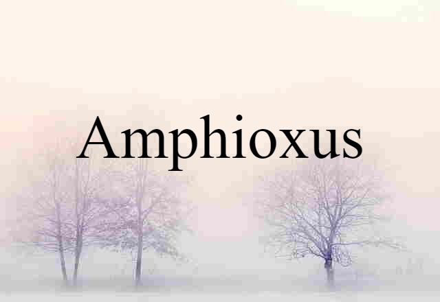 amphioxus