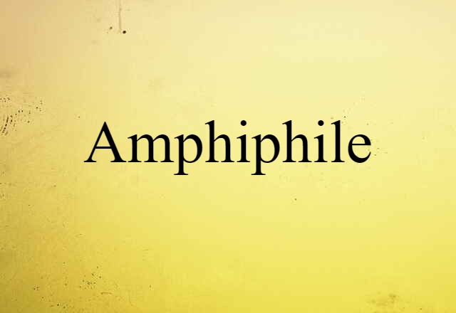 amphiphile