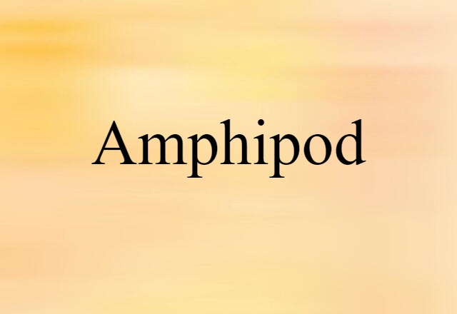 amphipod