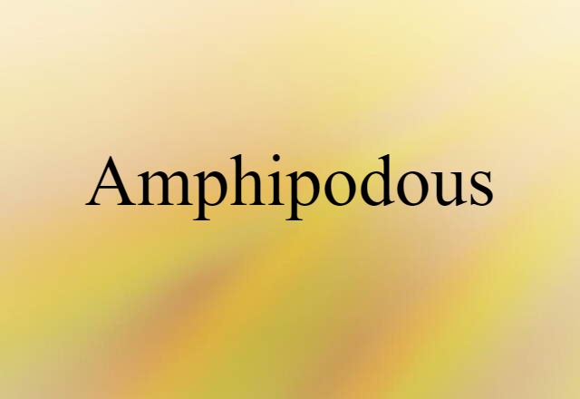 Amphipodous (noun) Definition, Meaning & Examples