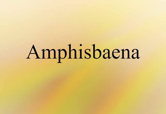 amphisbaena