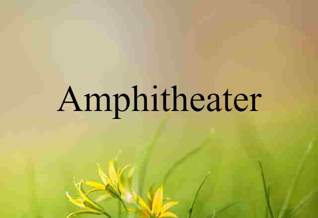 Amphitheater (noun) Definition, Meaning & Examples