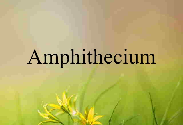 amphithecium