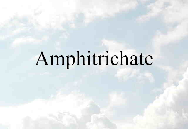 Amphitrichate (noun) Definition, Meaning & Examples