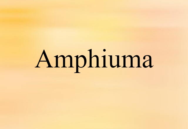 amphiuma