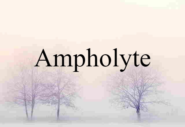 ampholyte