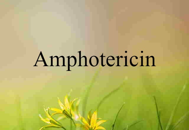 Amphotericin (noun) Definition, Meaning & Examples