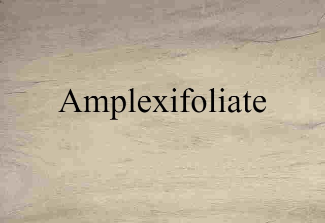 amplexifoliate