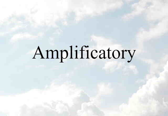 Amplificatory (noun) Definition, Meaning & Examples