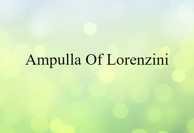 Ampulla Of Lorenzini (noun) Definition, Meaning & Examples