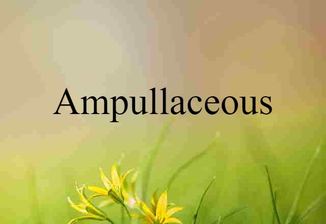 ampullaceous