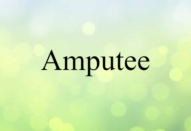 Amputee (noun) Definition, Meaning & Examples