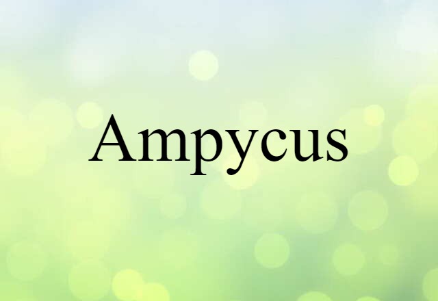 Ampycus (noun) Definition, Meaning & Examples