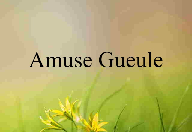 Amuse-gueule (noun) Definition, Meaning & Examples