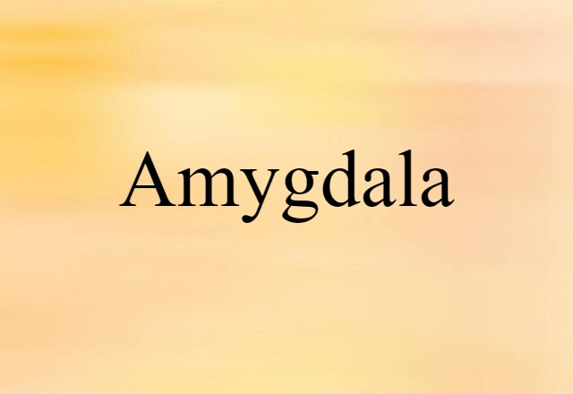 amygdala