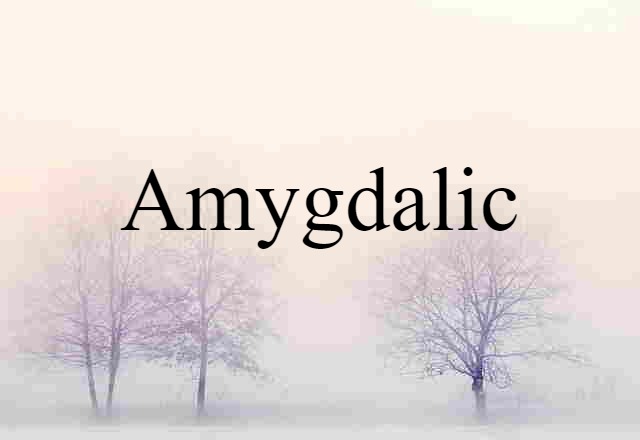 Amygdalic (noun) Definition, Meaning & Examples