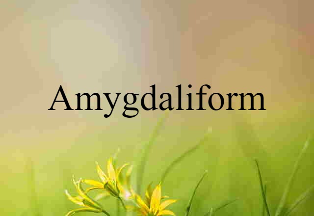 amygdaliform