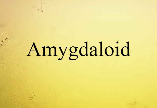 Amygdaloid (noun) Definition, Meaning & Examples