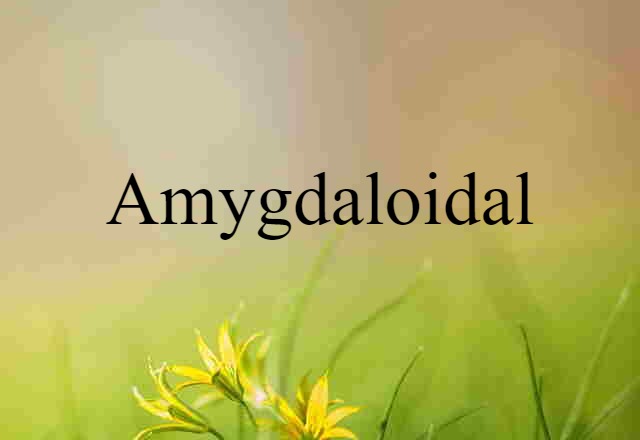 Amygdaloidal (noun) Definition, Meaning & Examples