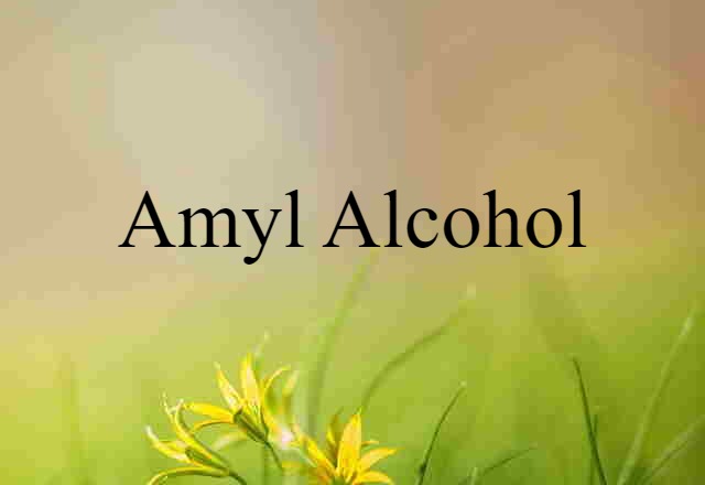 Amyl Alcohol (noun) Definition, Meaning & Examples