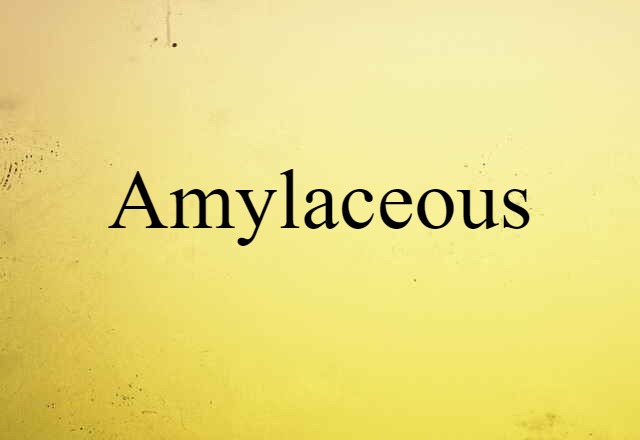 amylaceous