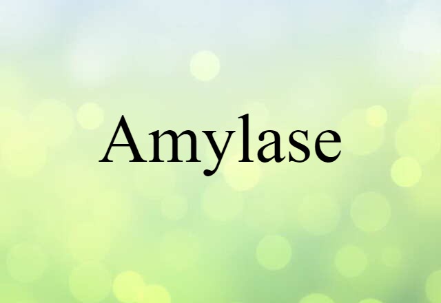 Amylase (noun) Definition, Meaning & Examples