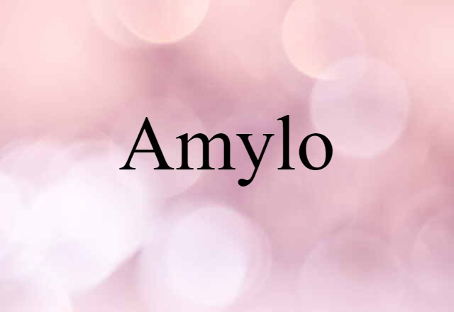 Amylo (noun) Definition, Meaning & Examples