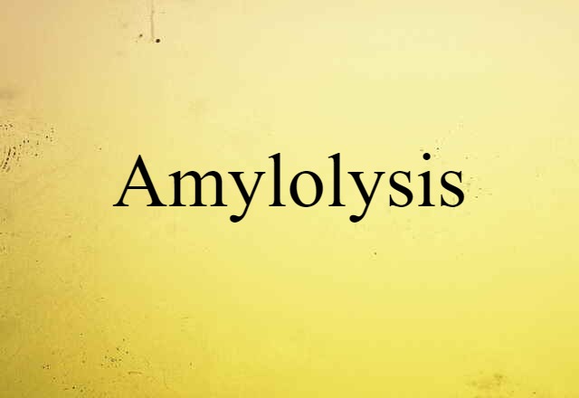 amylolysis