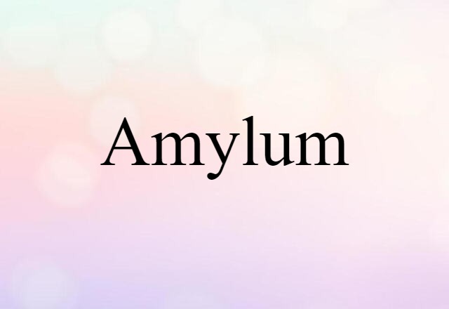 amylum