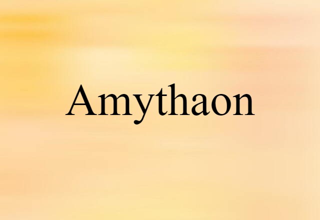 Amythaon (noun) Definition, Meaning & Examples