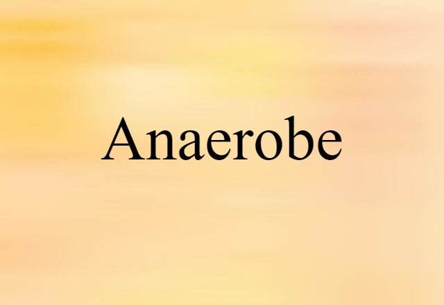 Anaerobe (noun) Definition, Meaning & Examples