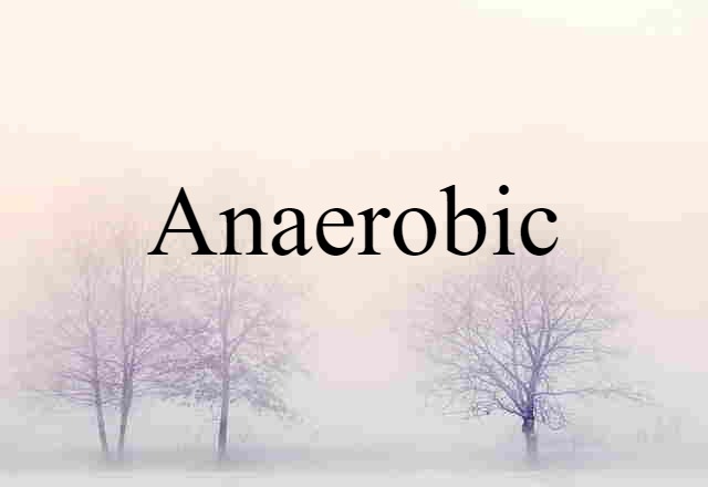 Anaerobic (noun) Definition, Meaning & Examples