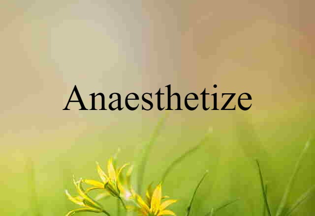 anaesthetize