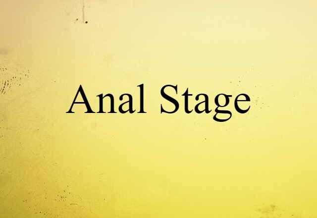 Anal Stage (noun) Definition, Meaning & Examples