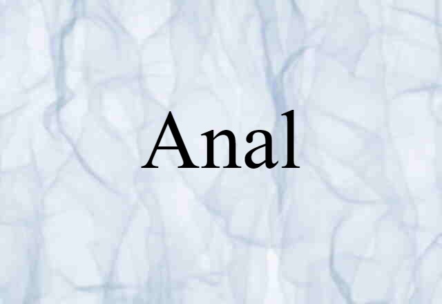 Anal (noun) Definition, Meaning & Examples