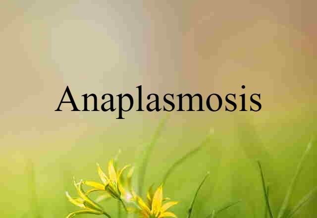 anaplasmosis