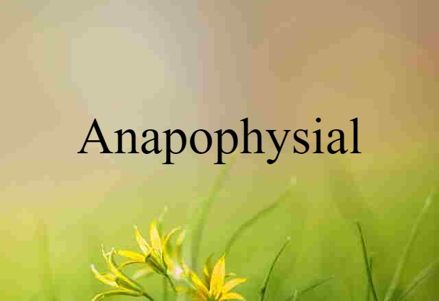 anapophysial