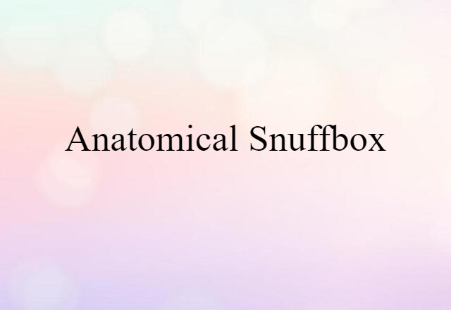 Anatomical Snuffbox (noun) Definition, Meaning & Examples