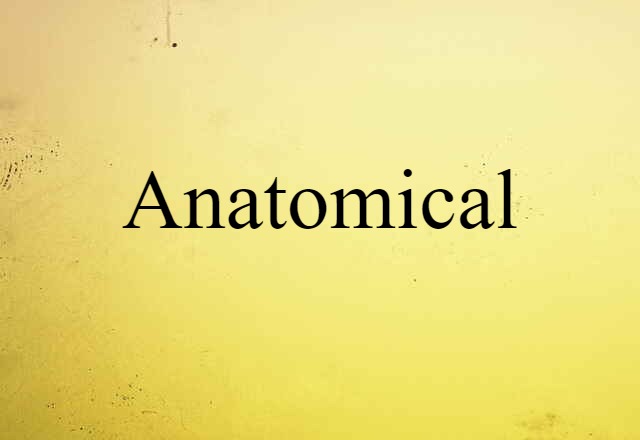 anatomical